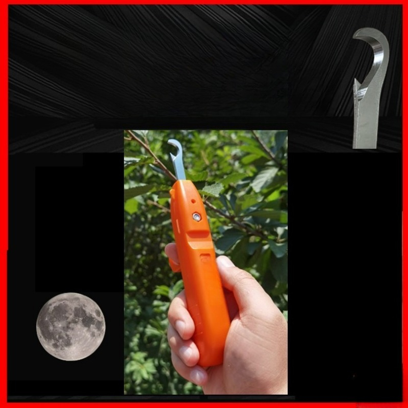 Gunting Pemetik Buah Bahan Sta - Gardening Tools Vegetables ulasan dan harga