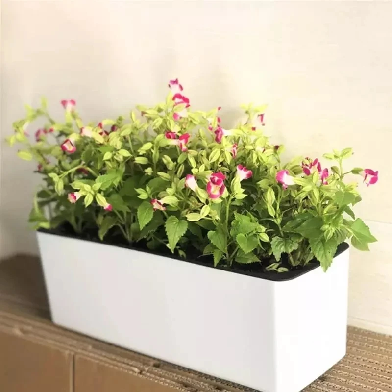 Pot Bunga Malas Persegi Panjan - Automatic Plant Waterer ulasan dan harga